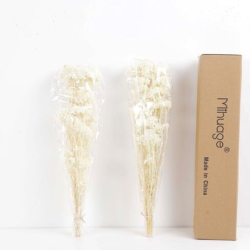 MIHUAGE Dried Flower Mihua Flower 2 Bundle 17inch in Kuwait