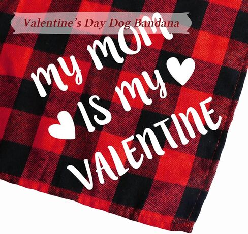 STMK 2 Pack Valentines Dog Bandanas, Dog Valentines Bandana for Dogs Pets (Red, Free Kisses & Be My Valentine) in Saudi Arabia