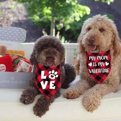 STMK 2 Pack Valentines Dog Bandanas, Dog Valentines Bandana for Dogs Pets (Red, Free Kisses & Be My Valentine) in Saudi Arabia
