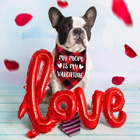 STMK 2 Pack Valentines Dog Bandanas, Dog Valentines Bandana for Dogs Pets (Red, Free Kisses & Be My Valentine) in Saudi Arabia