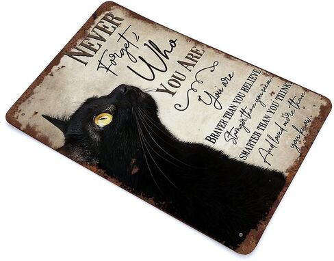 Never Forget Who You are Retro Tin Sign Animal Art Cat Lover Gift Cute Cat Wall Art Home Decor Fun Tin Sign for Man Cave Bar Pub Club Home Wall Decoration 12x8 Inch in Saudi Arabia