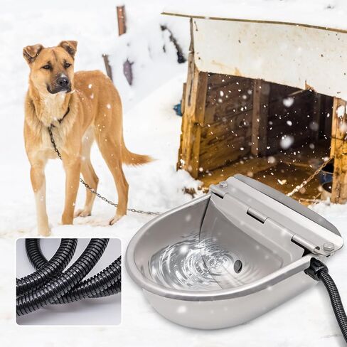 وعاء ماء ساخن للكلاب والقطط، وعاء دافئ للحيوانات الأليفة، شتوي حراري خارج، طبق ماء للقطط، وعاء ماء تلقائي للماشية للحصان، الكلاب الكبيرة، الماشية، البقرة، الماعز، الخنازير، الدجاج، موزع مياه الكلاب التلقائي in Kuwait