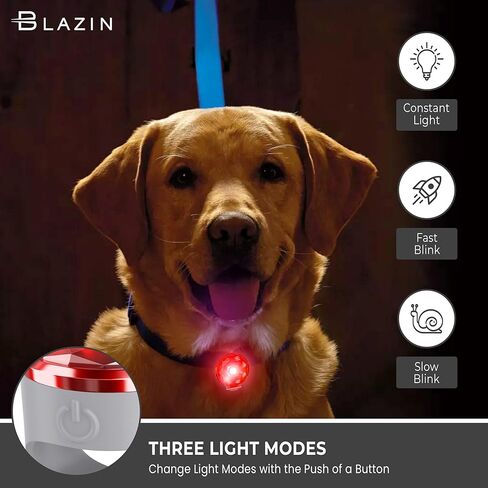 مصباح طوق الكلاب LED للسلامة من Blazin - يمكن رؤيته من مسافة تصل إلى 150 قدمًا - بطارية USB-C قابلة لإعادة الشحن تعمل لمدة تصل إلى 20 ساعة بشحنة واحدة - مقاومة للماء (أزرق) in Kuwait