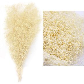 حزم زهرة الجبسوفيلا المجففة من MIHUAGE، نفس الطفل الطبيعي لترتيبات الزفاف DIY ديكورات المنزل 17 بوصة 3 أونصة من الزهور المجففة المحفوظة (أبيض) in Kuwait