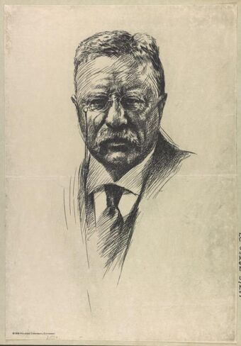 Historic Photos 1919 Photo Theodore Roosevelt, bust portrait, facing front Print of etching shows portrait of Roosevelt. in Kuwait