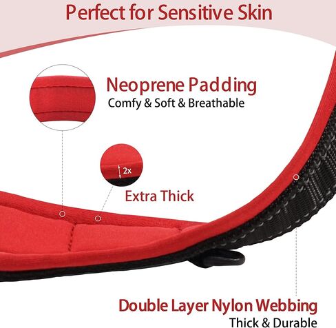 Yxiang طوق كلب مبطن ناعم، طوق كلب نايلون عاكس قابل للتعديل مع حامل AirTag، طوق سميك سميك للحيوانات الأليفة مع مشبك معدني متين وآمن للكلاب المتوسطة in Kuwait