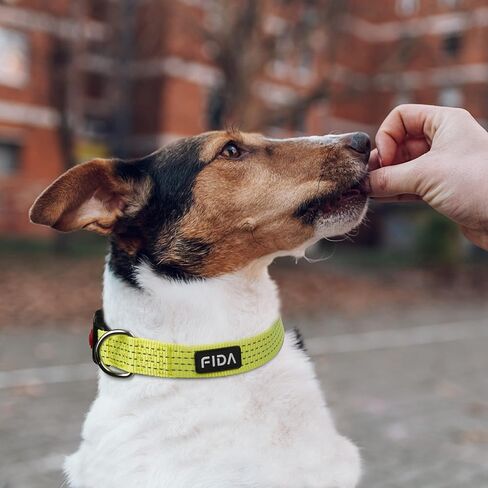 Fida Reflective Dog Collar, Nylon Dog Collars with Neon Colors for Small/Medium/Large Dogs, High Visibility Dog Collars with Safety Locking Buckle(Large, Neon Yellow) in Saudi Arabia