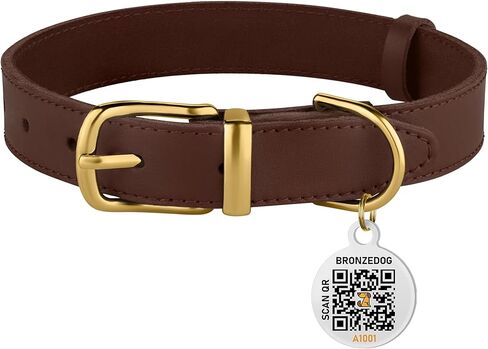طوق BRONZEDOG من الجلد للكلاب مع مشبك معدني، أطواق أساسية متينة للحيوانات الأليفة للكلاب الصغيرة والمتوسطة والكبيرة (13-16 بوصة (عبوة من 1)، مشبك بني داكن وذهبي) in Saudi Arabia