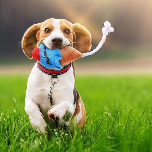 HIFUAR عيد ميلاد الكلب لعب للكلاب الصغيرة 5 حزمة صرير جرو مضغ لعبة هدية أفخم مضغ الكلب لعب الجرو الكعك دونات العظام الآيس كريم in Kuwait