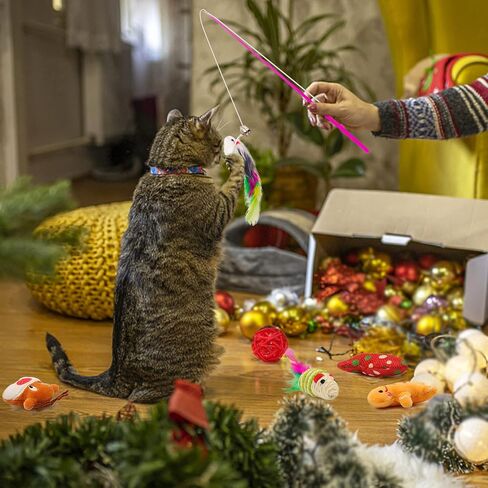 ألعاب تخزين عيد الميلاد للكلاب من Auliand، 5 قطع ألعاب مضغ للكلاب مع سانتا، شجرة عيد الميلاد، كرة، ألعاب مضغ حبل متين، ألعاب تصدر صوتًا، هدية، ألعاب حشو تخزين الكلاب التفاعلية in Kuwait