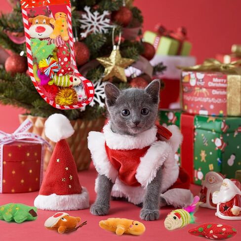 ألعاب تخزين عيد الميلاد للكلاب من Auliand، 5 قطع ألعاب مضغ للكلاب مع سانتا، شجرة عيد الميلاد، كرة، ألعاب مضغ حبل متين، ألعاب تصدر صوتًا، هدية، ألعاب حشو تخزين الكلاب التفاعلية in Kuwait