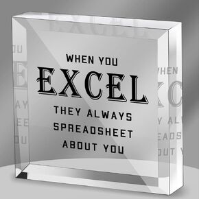 Office Signs Accountant Quote - When You Excel They Always Spreadsheet about You Acrylic Sign - Office Acrylic Humor Gift, Home Office Decoration Sign for Coworkers in Kuwait