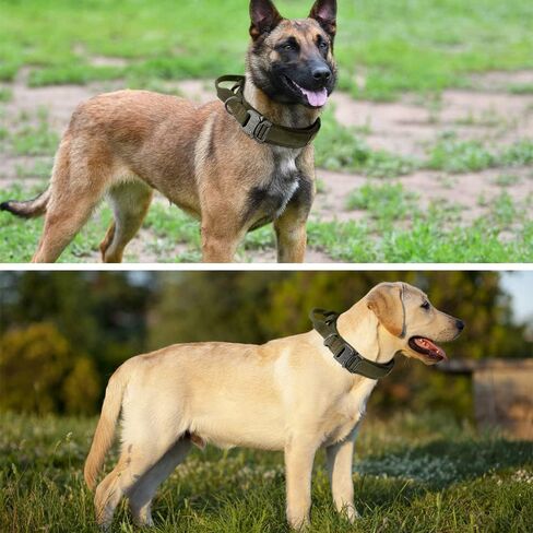 Plutus Pet Tactical Dog Collar, Soft Padded, Adjustable with Heavy Duty Metal Buckle, Military Dog Collar with Control Handle for Medium Large and Extra Large Dogs (M, Black Set) in Kuwait