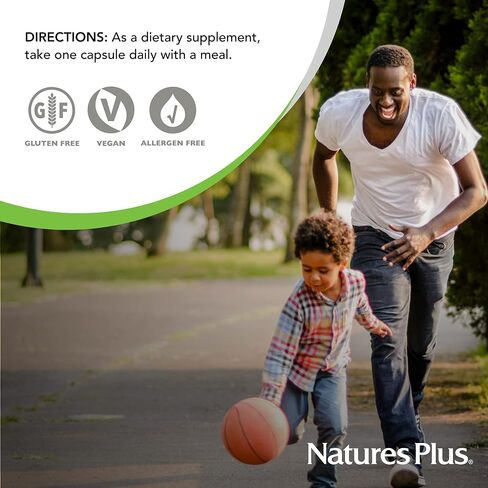 NaturesPlus Ultra One Iron Free - 90 Easy to Swallow Capsules - High Potency Once Daily Multivitamin & Mineral Supplement - Natural Energy - Vegetarian, Gluten-Free - 90 Servings in Saudi Arabia
