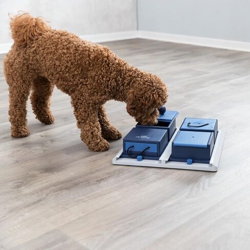 TRIXIE Poker Box 1 Strategy Game, Intermediate Dog Puzzle Toy, Level 2 Activity, Treat Puzzle, Interactive Play, Enrichment in Kuwait