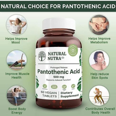 Natural Nutra Time Release Pantothenic Acid 500 mg, Vitamin B5 Supplement Helps Break Down Fat and Carbohydrates, Metabolism and Energy, 60 Vegetarian Tablets (2 Pack) in Saudi Arabia