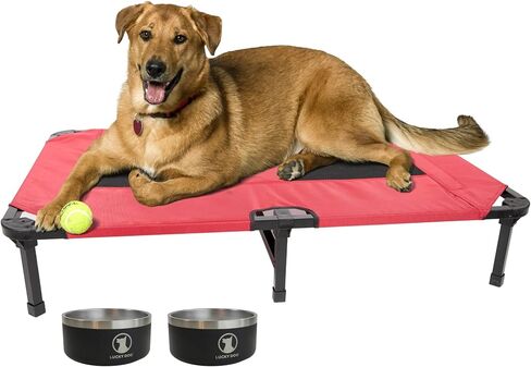 سرير مريح مرتفع للحيوانات الأليفة من Lucky Dog مقاس 42 بوصة | قماش باليستي | غطاء قابل للغسل وقابل للإزالة in Kuwait