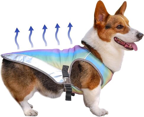 Dog Cooling Vest, Dog Cooling Jacket, Water Evaporative Cooling Vest for Hot Weather, Adjustable for Small to Medium Dog Training (M, Iridescent) in Saudi Arabia