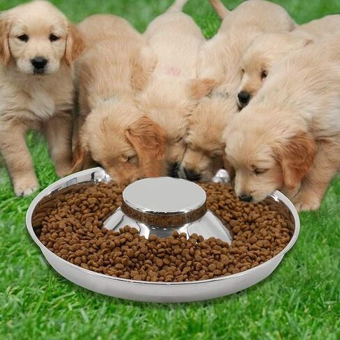 PetierWeit [3 PCS] Puppy Dog Food and Water Bowl with Raised Center Stainless Steel Diameter:11.4in/29 cm - Suitable for Small/Medium/Large Dogs in Kuwait