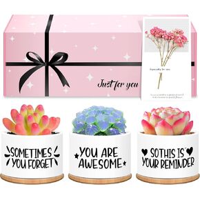 Resllyele Birthday Gifts for Women, Friendship Gifts for Women Friends, Gifts for Her, Sister Gifts, Mom Gifts, Teacher Gifts, Unique Gifts for Women, 3PCS Small Succulent Pots Gifts for Women in Saudi Arabia