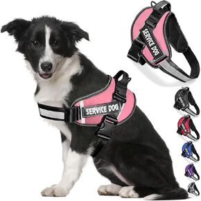 صدرية توجيه للكلاب من بتروميشي، مضادة للسحب، مزودة بمقبض، قابلة للتعديل من مادة أكسفورد العاكسة للضوء 3M للمشي في الهواء الطلق، تحكم سهل في السلالات الصغيرة والمتوسطة والكبيرة in Kuwait