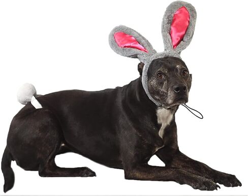 Midlee Easter Bunny Gray & Pink Rabbit Ears for Large Dogs Headband with Tail in Saudi Arabia