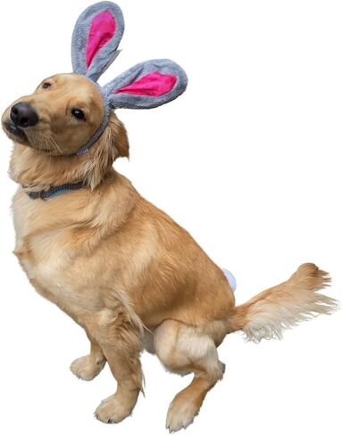 Midlee Easter Bunny Gray & Pink Rabbit Ears for Large Dogs Headband with Tail in Saudi Arabia