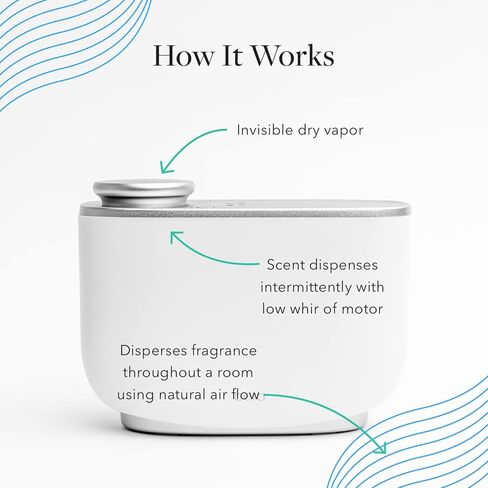 عبوة إعادة تعبئة عطر المنزل من Aera Monique Lhuillier Dolce - روائح الليتشي والفاوانيا - تعمل مع موزع الروائح Aera in Kuwait