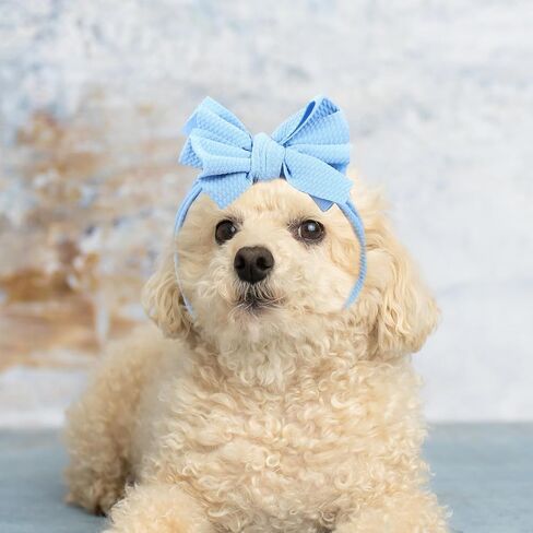 POPETPOP 2pcs Pet Hat Headwear Hair Clip Bows for Cats Hair Kitten Hats Dog Elastic Dog Headband Decorative Dog Dog Headwear Party Dog Decor Puppy Bow Headband Dog Costume Accessories in Saudi Arabia