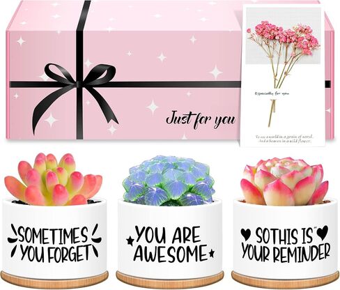Resllyele Birthday Gifts for Women, Unique Gifts for Women's Day, Valentine's Day, Christmas with Greeting Card and Box, 3 Pack Succulent Pots Gifts for Women, Best Friends, Mom, Sister, Girls, Wife in Saudi Arabia