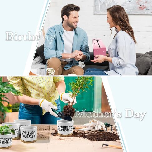 Resllyele Birthday Gifts for Women, Unique Gifts for Women's Day, Valentine's Day, Christmas with Greeting Card and Box, 3 Pack Succulent Pots Gifts for Women, Best Friends, Mom, Sister, Girls, Wife in Saudi Arabia