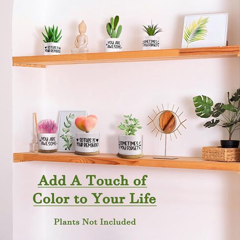Resllyele Birthday Gifts for Women, Unique Gifts for Women's Day, Valentine's Day, Christmas with Greeting Card and Box, 3 Pack Succulent Pots Gifts for Women, Best Friends, Mom, Sister, Girls, Wife in Saudi Arabia