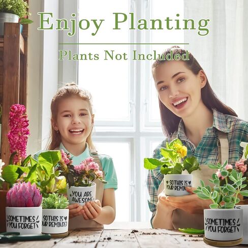 Resllyele Birthday Gifts for Women, Unique Gifts for Women's Day, Valentine's Day, Christmas with Greeting Card and Box, 3 Pack Succulent Pots Gifts for Women, Best Friends, Mom, Sister, Girls, Wife in Saudi Arabia