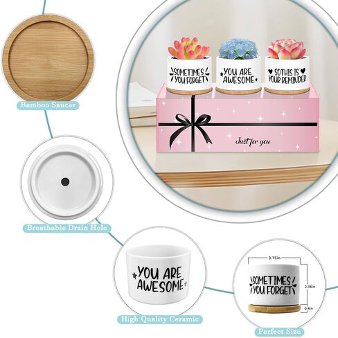 Resllyele Birthday Gifts for Women, Unique Gifts for Women's Day, Valentine's Day, Christmas with Greeting Card and Box, 3 Pack Succulent Pots Gifts for Women, Best Friends, Mom, Sister, Girls, Wife in Saudi Arabia