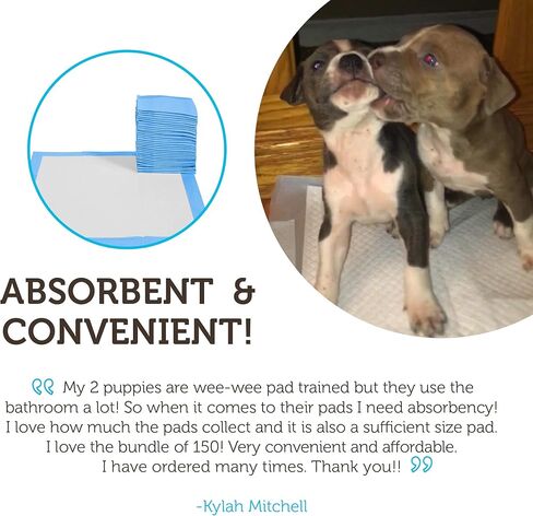 Puppy Pads Dog Pee Pad for Potty Training Dogs & Cats 22 x 22"- 100-Count Large in Kuwait