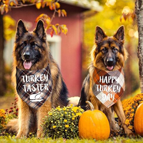 STMK 6 Pack Holiday Dog Bandanas, Halloween Thanksgiving Day Christmas Dog Bandanas for Large Dogs Costumes (Large) in Saudi Arabia