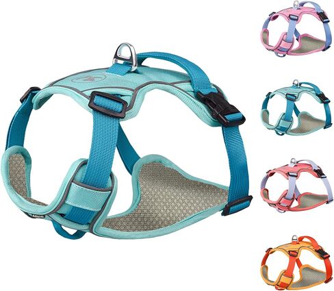 ايتل سرج خفيف الوزن مانع للسحب للمشي في الهواء الطلق - سترة مبطنة شبكية ناعمة وجيدة التهوية لجميع الاحوال الجوية، سرج امان للحيوانات الاليفة قابل للتعديل للكلاب المتوسطة والكبيرة الحجم، ازرق، M in Kuwait