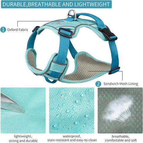 ايتل سرج خفيف الوزن مانع للسحب للمشي في الهواء الطلق - سترة مبطنة شبكية ناعمة وجيدة التهوية لجميع الاحوال الجوية، سرج امان للحيوانات الاليفة قابل للتعديل للكلاب المتوسطة والكبيرة الحجم، ازرق، M in Kuwait