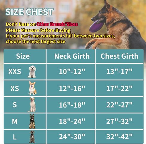 ايتل سرج خفيف الوزن مانع للسحب للمشي في الهواء الطلق - سترة مبطنة شبكية ناعمة وجيدة التهوية لجميع الاحوال الجوية، سرج امان للحيوانات الاليفة قابل للتعديل للكلاب المتوسطة والكبيرة الحجم، ازرق، M in Kuwait