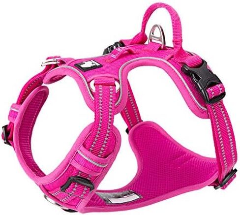 WINHYEPET True Love No Pull Dog Harness Extra Reflective Pet Harness for Small Medium Large Dogs Adjustbale for Running Walking Padded Soft Mesh Vest Easy Control TLH56512(Fushcia,M) in Saudi Arabia