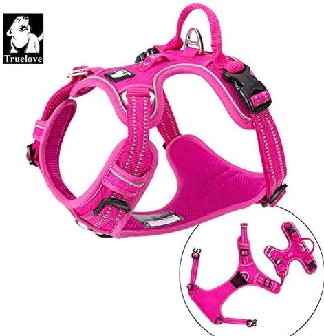 WINHYEPET True Love No Pull Dog Harness Extra Reflective Pet Harness for Small Medium Large Dogs Adjustbale for Running Walking Padded Soft Mesh Vest Easy Control TLH56512(Fushcia,M) in Saudi Arabia