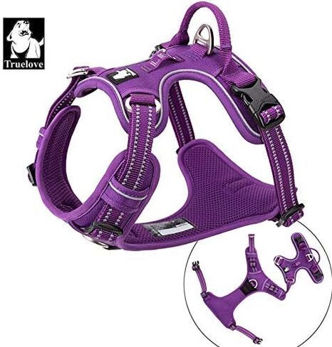 WINHYEPET True Love No Pull Dog Harness Extra Reflective Pet Harness for Small Medium Large Dogs Adjustbale for Running Walking Padded Soft Mesh Vest Easy Control TLH56512(Fushcia,M) in Saudi Arabia
