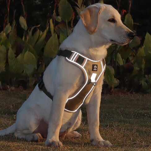 TDTOK الكلب تسخير للكلاب الصغيرة والمتوسطة الكبيرة، عاكس لا سحب الكلب يسخر مع مقبض، دائم لا خنق مشبك الجبهة النايلون الكلب تسخير مع شبكة الهواء تنفس مبطن مشبك الإفراج السريع in Kuwait