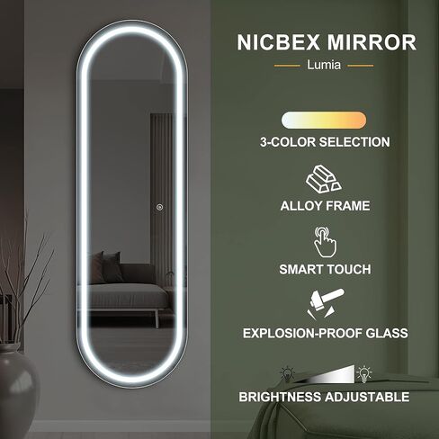 NicBex 63 x 20 Inch Oval Full Length Mirror with LED Lights, Wall Mounted Mirror, Color Dimmable & Brightness Adjustment for Bedroom,Living Room, Black in Kuwait