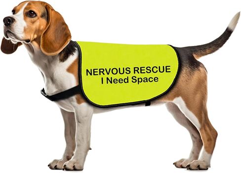 Rescue Dog Jacket Vest Nervous Rescue Space Dog Vest Dog Walking Slogan Warning Vest (Nervous Rescue Space-Large) in Saudi Arabia