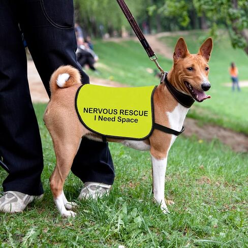 Rescue Dog Jacket Vest Nervous Rescue Space Dog Vest Dog Walking Slogan Warning Vest (Nervous Rescue Space-Large) in Saudi Arabia