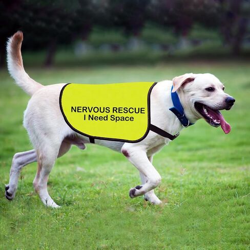 Rescue Dog Jacket Vest Nervous Rescue Space Dog Vest Dog Walking Slogan Warning Vest (Nervous Rescue Space-Large) in Saudi Arabia
