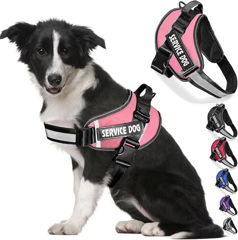 صدرية توجيه للكلاب من بتروميشي، مضادة للسحب، مزودة بمقبض، قابلة للتعديل من مادة أكسفورد العاكسة للضوء 3M للمشي في الهواء الطلق، تحكم سهل في السلالات الصغيرة والمتوسطة والكبيرة in Kuwait