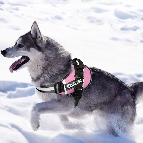 صدرية توجيه للكلاب من بتروميشي، مضادة للسحب، مزودة بمقبض، قابلة للتعديل من مادة أكسفورد العاكسة للضوء 3M للمشي في الهواء الطلق، تحكم سهل في السلالات الصغيرة والمتوسطة والكبيرة in Kuwait