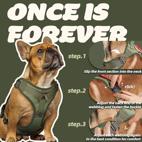 PETAGE التكتيكية الكلب تسخير للكلاب الصغيرة المتوسطة الكبيرة لا سحب قابل للتعديل لينة مبطن الكلب سترة عاكسة لا خنق الحيوانات الأليفة أكسفورد سترة مع سهولة التحكم الحيوانات الأليفة سترة الخدمة العسكرية الكلب يسخر (الأخضر L) in Kuwait